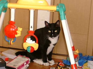 又6月23日がやってきた・・・・