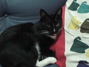 又6月23日がやってきた・・・・