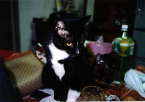 又6月23日がやってきた・・・・