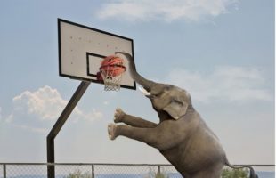 2025年2月度本町BBCの練習日程