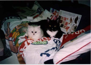 又6月23日がやってきた・・・・